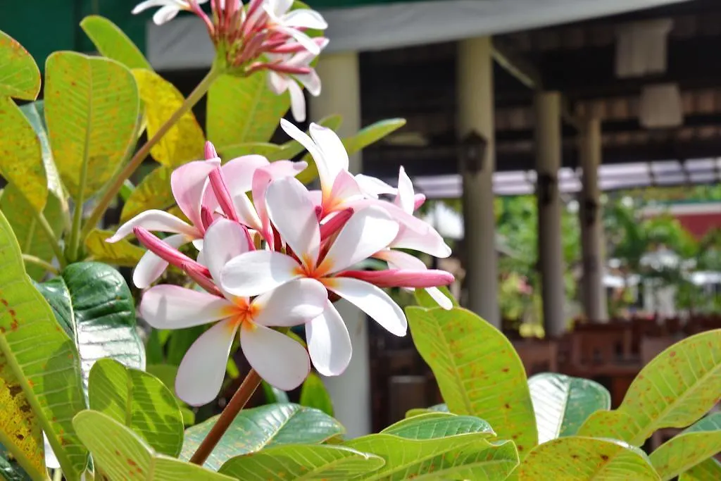 Golden Bay Cottage - SHA Extra Plus Ko Lanta